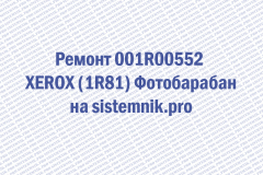 Ремонт 001R00552 XEROX (1R81) Фотобарабан
