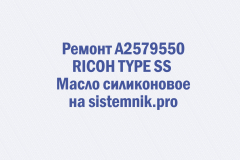 Ремонт A2579550 RICOH TYPE SS Масло силиконовое