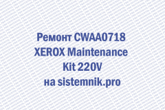 Ремонт CWAA0718 XEROX Maintenance Kit 220V