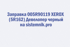 Заправка 005R90119 XEROX (5R162) Девелопер черный