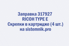 Заправка 317927 RICOH TYPE E Скрепки в картридже (4 шт.)