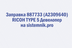 Заправка 887733 (A2309640) RICOH TYPE 5 Девелопер