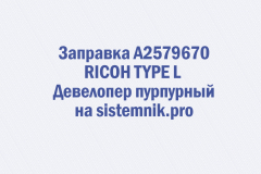 Заправка A2579670 RICOH TYPE L Девелопер пурпурный