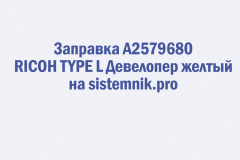 Заправка A2579680 RICOH TYPE L Девелопер желтый