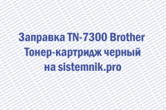 Заправка TN-7300 Brother Тонер-картридж черный