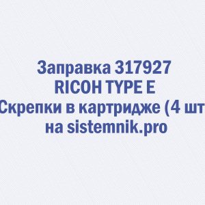 Заправка 317927 RICOH TYPE E Скрепки в картридже (4 шт.)
