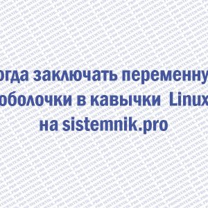 Когда заключать переменную оболочки в кавычки? linux