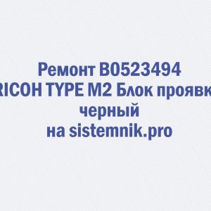 Ремонт B0523494 RICOH TYPE M2 Блок проявки черный