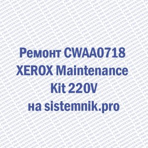 Ремонт CWAA0718 XEROX Maintenance Kit 220V