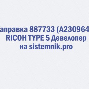 Заправка 887733 (A2309640) RICOH TYPE 5 Девелопер
