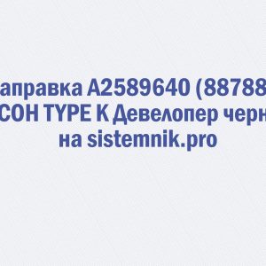 Заправка A2589640 (887880) RICOH TYPE K Девелопер черный