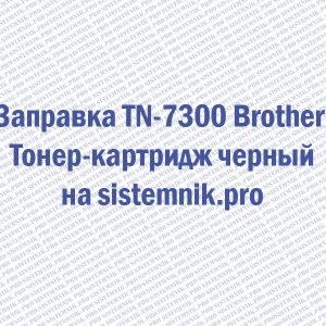 Заправка TN-7300 Brother Тонер-картридж черный