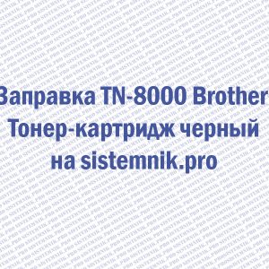 Заправка TN-8000 Brother Тонер-картридж черный